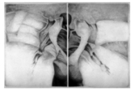 Kliknij aby powi�kszy�