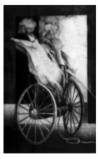 Kliknij aby powi�kszy�